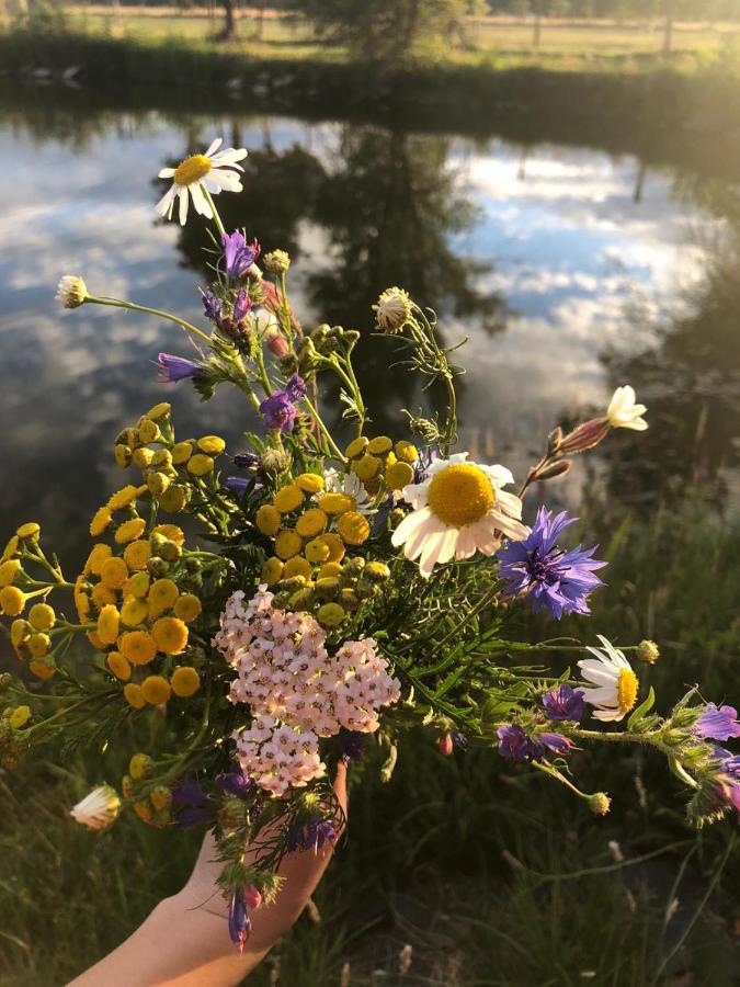Gaestehaus Deibow Eksteriør billede